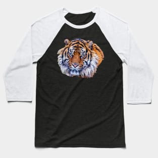 Sumatran Tiger with his eyes on you Baseball T-Shirt